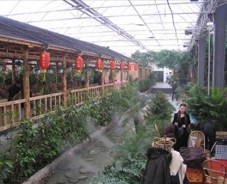 生態(tài)餐廳